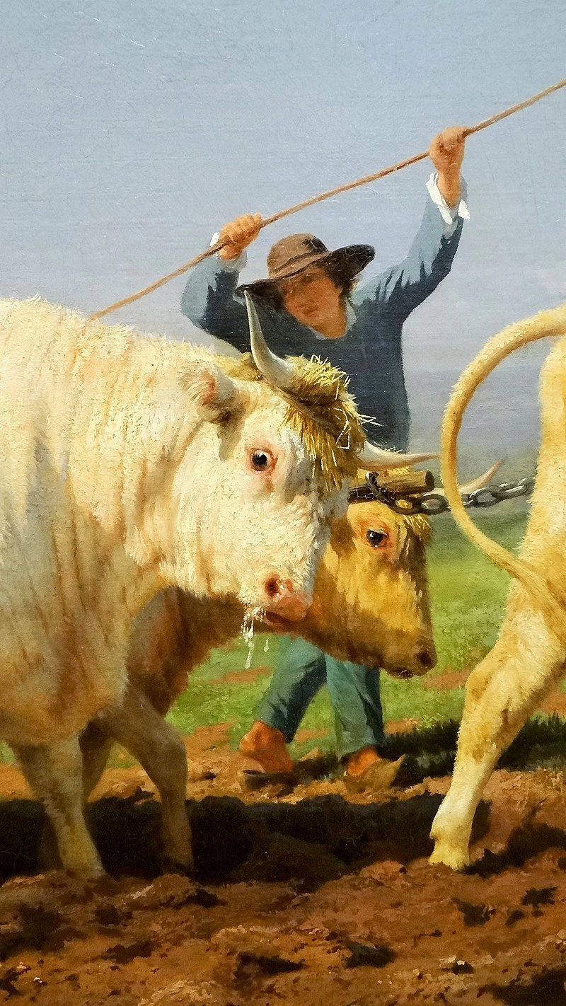 Aratura nel Nivernais, 1850 - dettaglio